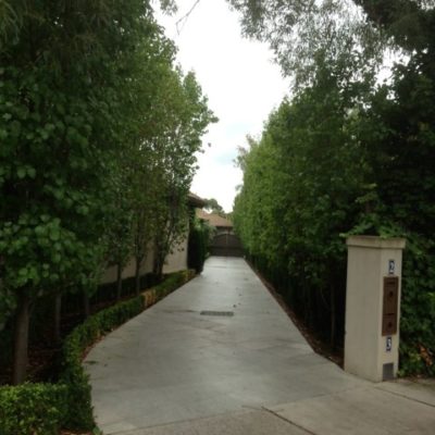 driveway_englishhedging_granite_exposed-aggregate_brighton-4